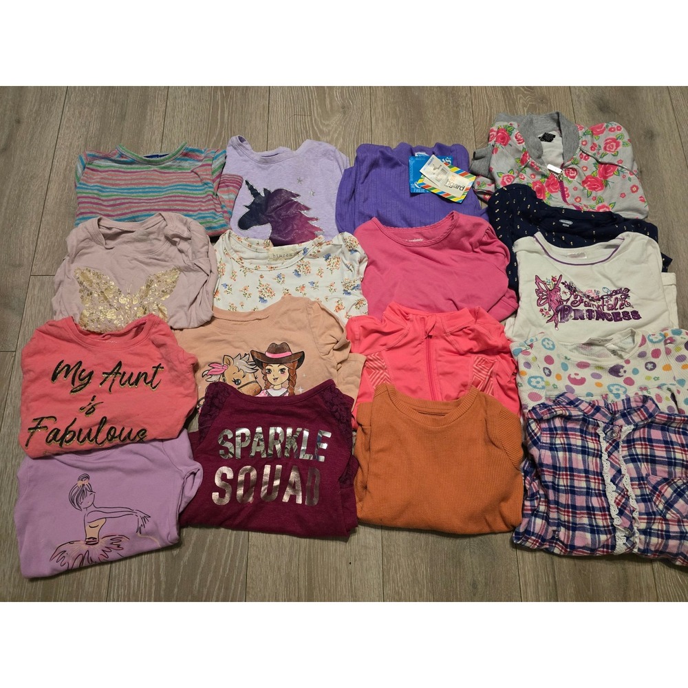 Long Sleeve Top Lot Girls Sizs 4/5 17pc Bundle